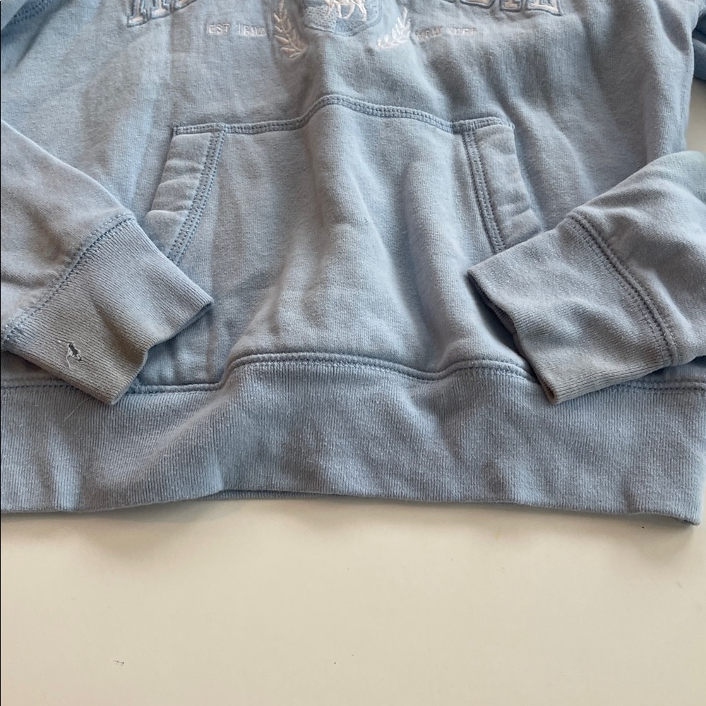 Abercrombie Kids Light Blue Hoodie - Picture 3 of 4